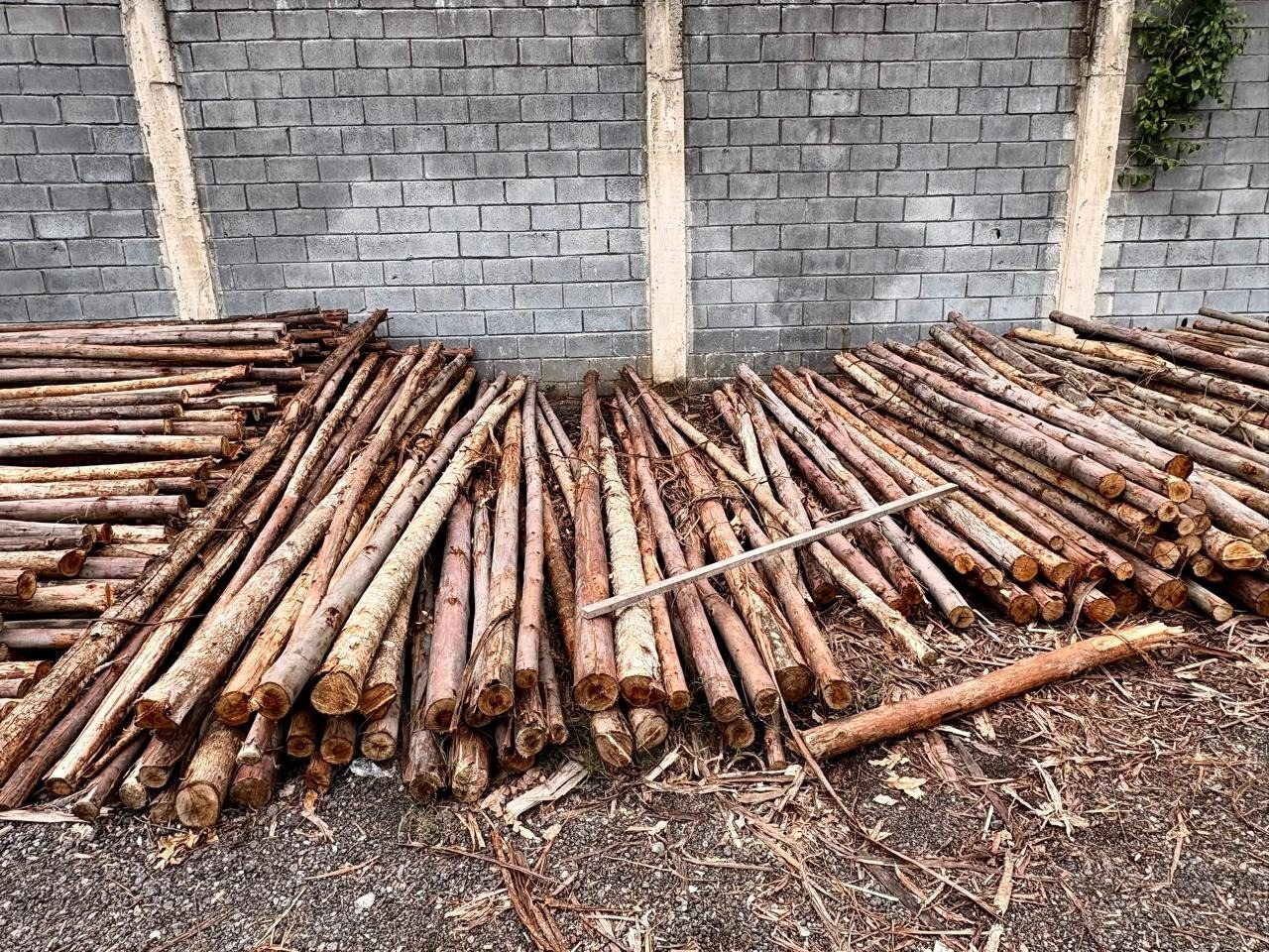 Pontaletes de Eucalipto empilhados junto ao muro do pátio